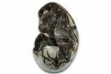 Free-Standing, Polished Septarian Geode - Black Crystals #339401-2